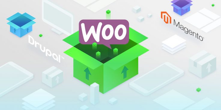 Maxpay Released a New Plugin for Merchants, Using WooCommerce Platform