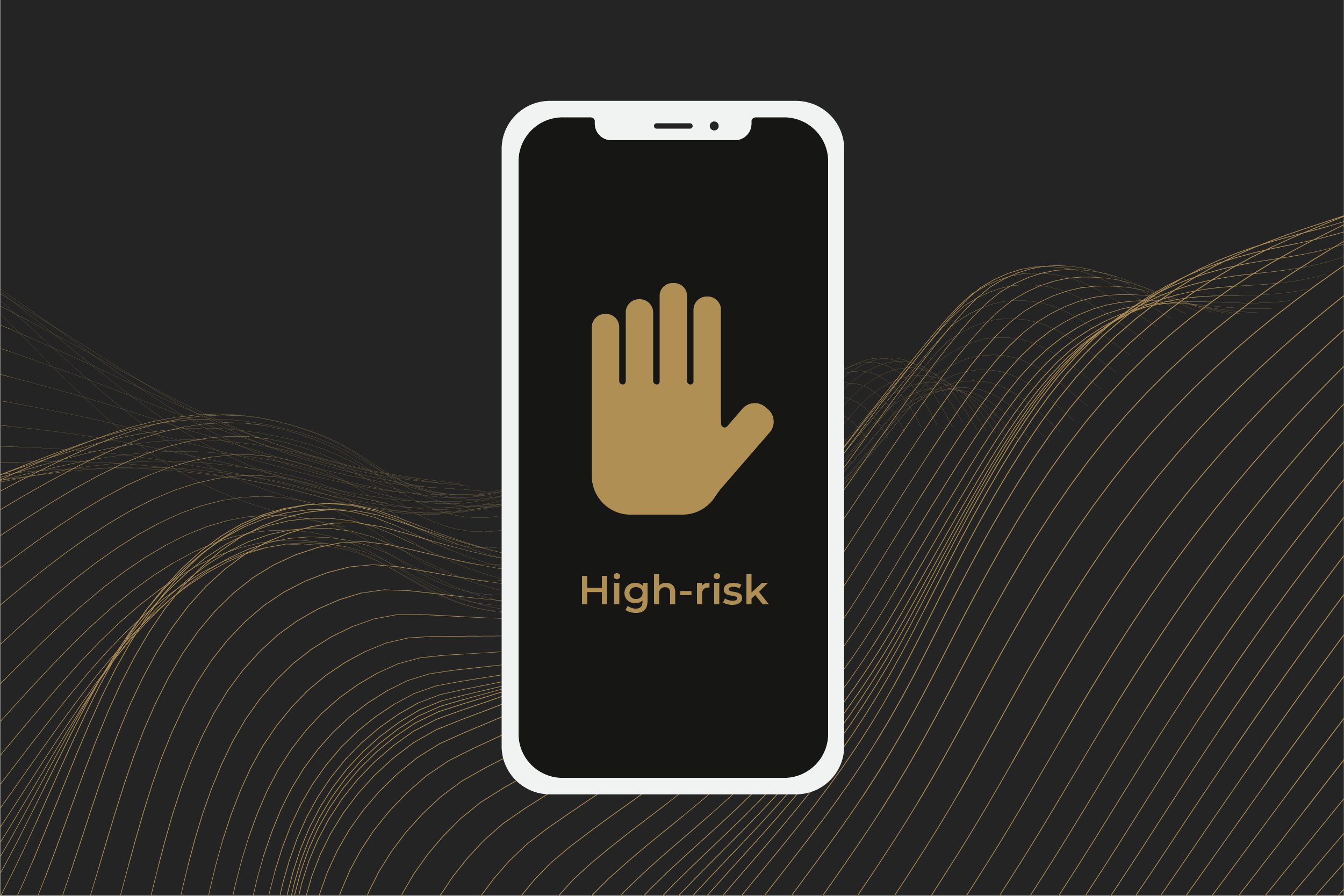 What Is A High Risk Account